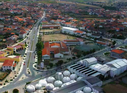 SENDIM COOPERATIVAS E ASSOCIAÇÕES DE AGRICULTORES Os agricultores têm de se juntar para conseguir vender…