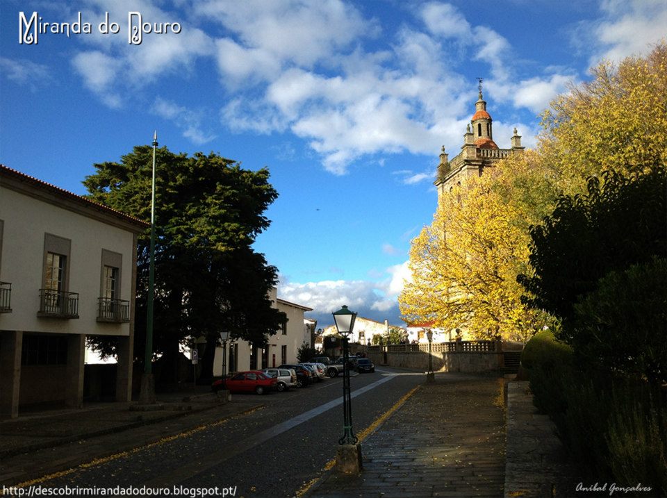 MIRANDA DO DOURO Autarquia cria Loja Solidária A Câmara Municipal de Miranda do Douro inaugura, no próximo…