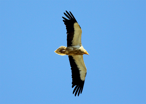 MIRANDA DO DOURO Autarcas do Douro Internacional criticam gestão do Parque Nacional Parque ocupa uma área de…