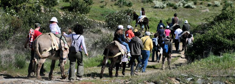 ATENOR AEPGA Dias 3 e 4 de Março: Curso de Introdução ao Maneio de Asinino O Nordeste Transmontano e…