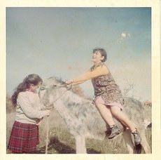 LITERATURA MIRANDESA Muito se fala na léngua mirandesa i la maior parte de las bezes cumo que se stubisse a…