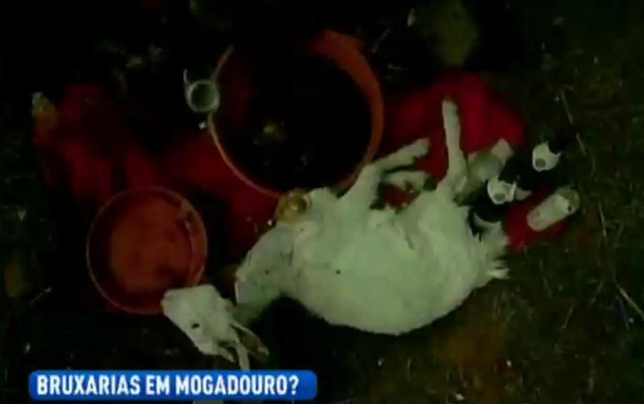 MOGADOURO CASTRO VICENTE A população desta freguesia de Mogadouro anda intrigada com os vestígios de prática…
