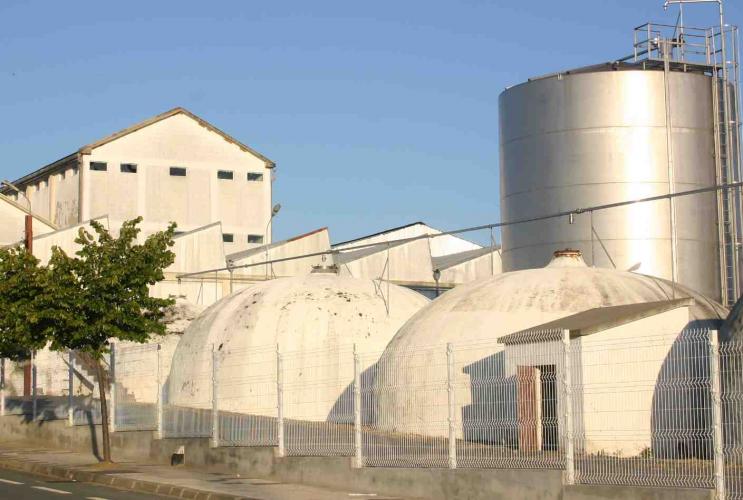 SENDIM VINHOS DO PLANALTO MIRANDÊS PARA O TOPO DO MUNDO A Adega Cooperativa Ribadouro (ACR), sediada em…