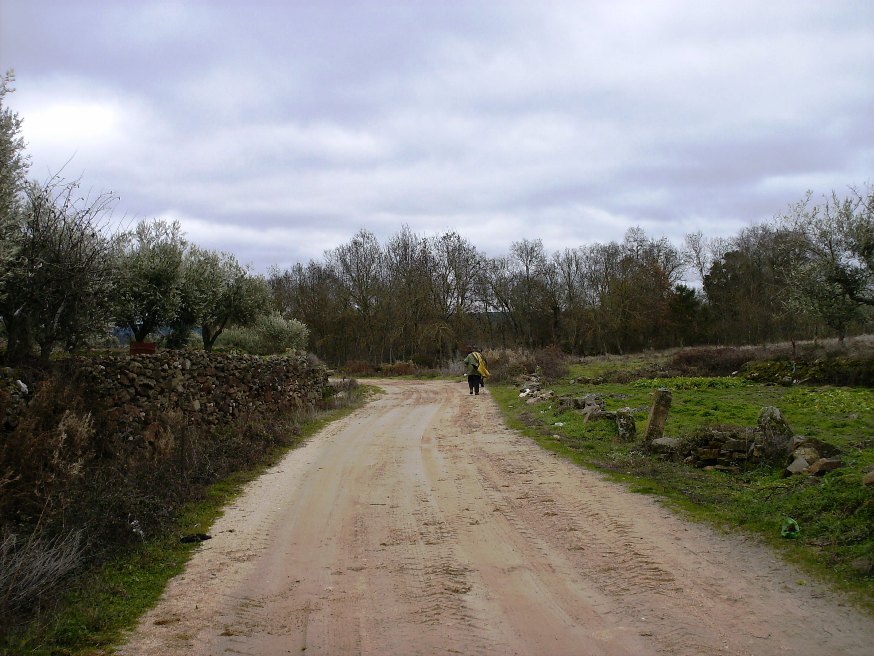 OS CAMINHOS LS CAMINOS La nuoba d’hoije ye para ls que hai muito nun ban puls caminos, ou porque hai muito…