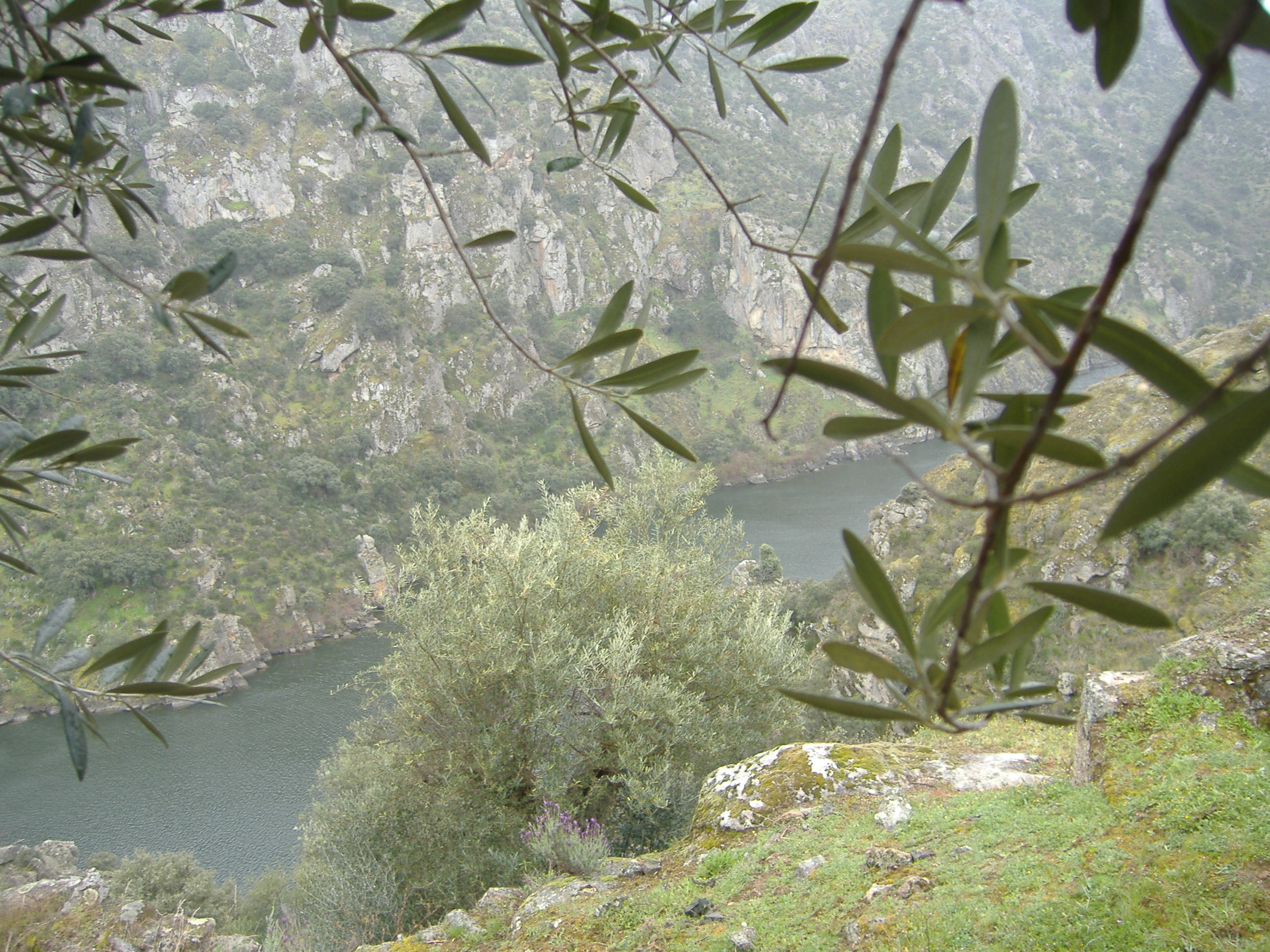 PARQUE NACIONAL DO DOURO INTERNACIONAL PARQUE NACIONAL DE L DOURO ANTERNACIONAL L Menistério de l’Ambiente…