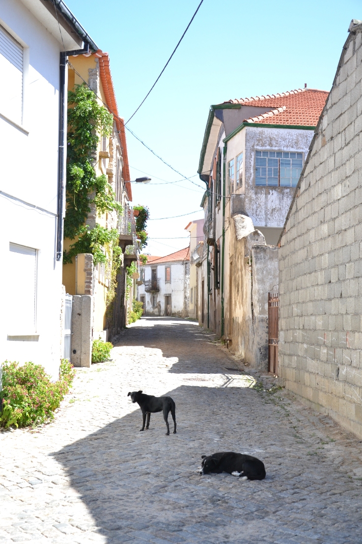 SENDIM ARQUITECTURA II Ruas casas largos e praças, Sendim tem tudo como as outras vilas, mas um conjunto de…