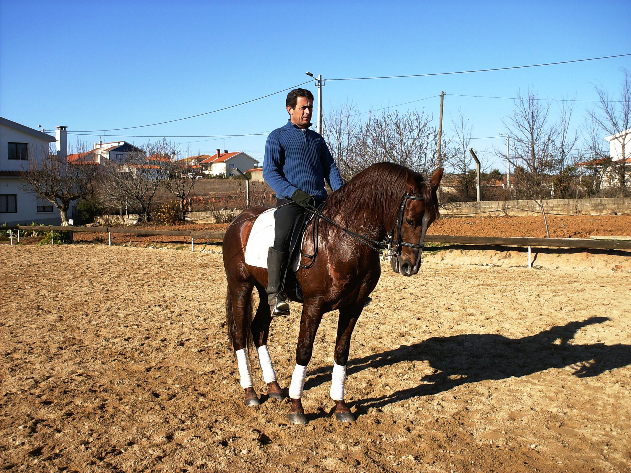 OS CAVALOS LS CABALHOS Staba ua manhana de sol i zde ls bumbeiros bi, na rue de la Trindade, l campo de…