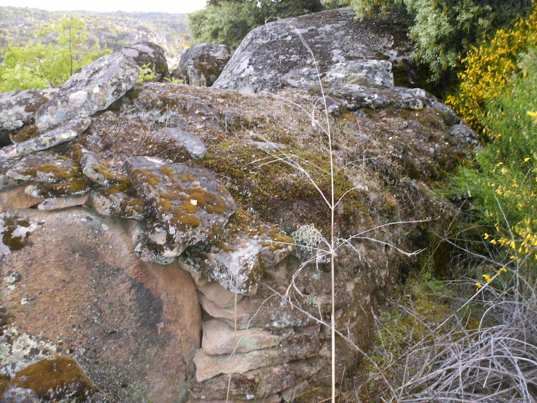 OS CHIBITEIROS LS CHIBITEIROS Yá muitas bezes oubi chamar chibiteiros a ciertos muntones de piedras i mesmo a…