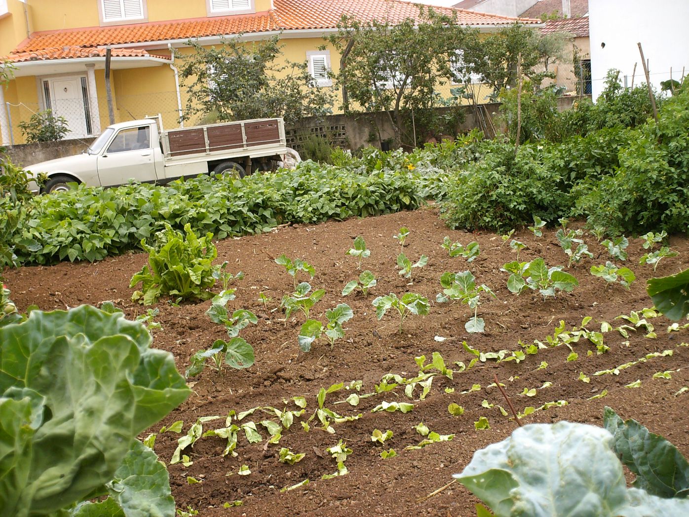 OS HORTOS LS HUORTOS Cumo nestes dies andaba meio mundo atrapalhado cun las cousas de la agricultura i quaije…