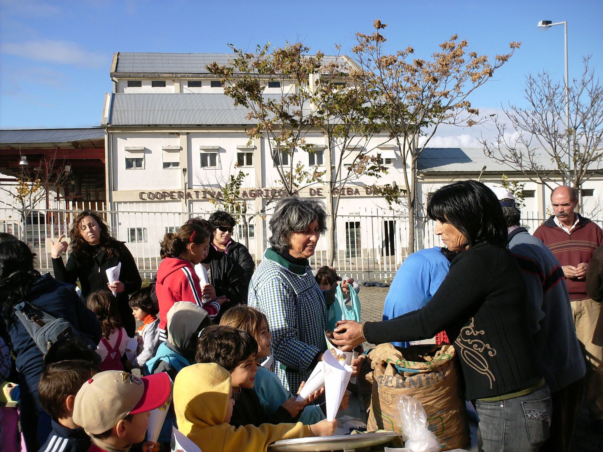 PROFESSORES E ALUNOS FÁZEM MAGUSTO PORSORES I ALUNOS FÁZEN MAGUSTO Este nun ye un anho buono de castanhas…