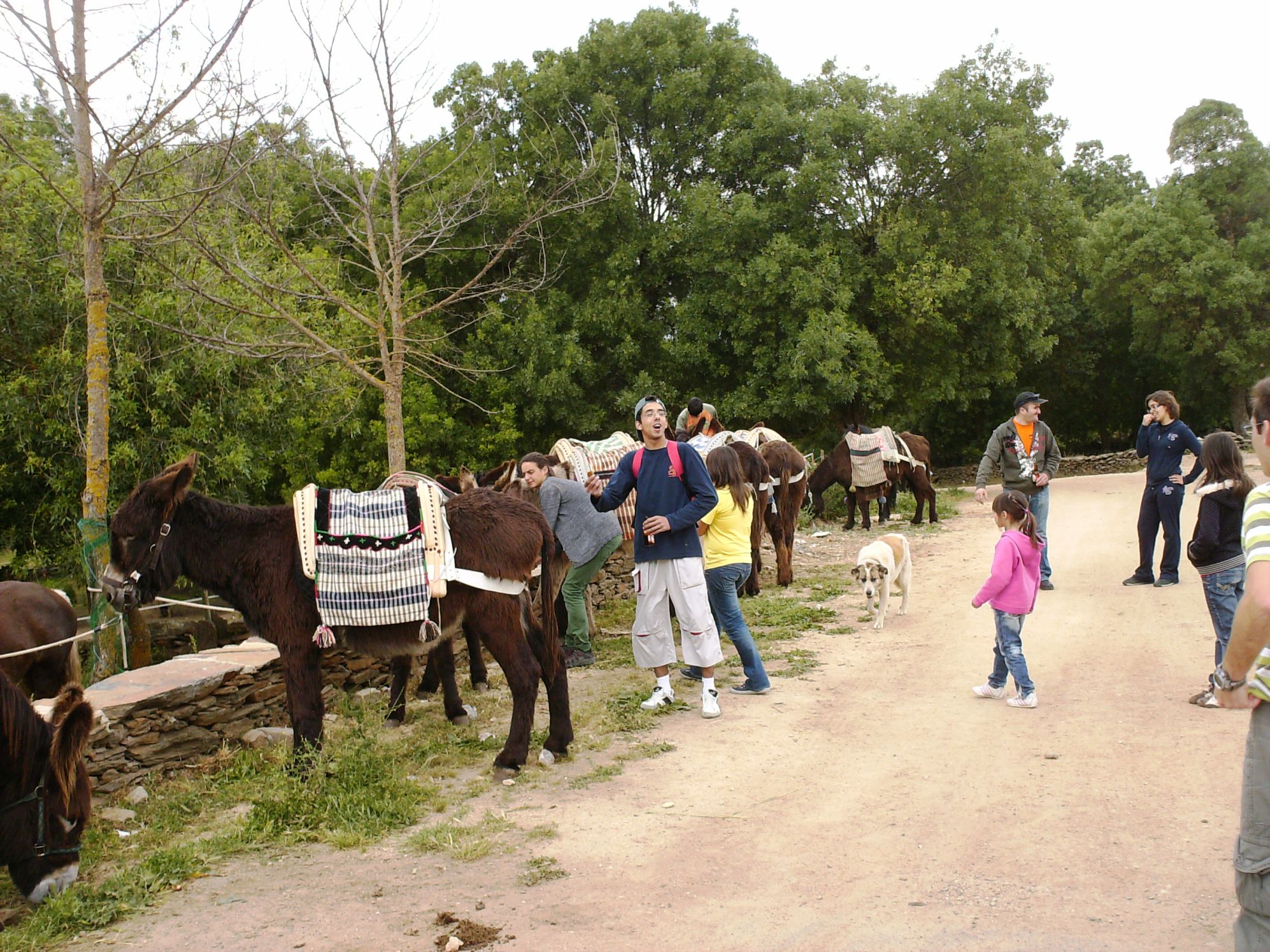 NO TRILHO DO BURRO PUL CAMINO DE L BURRO Hoije fui mais un die de atibidades de la AEPGA i de la ADCA de…