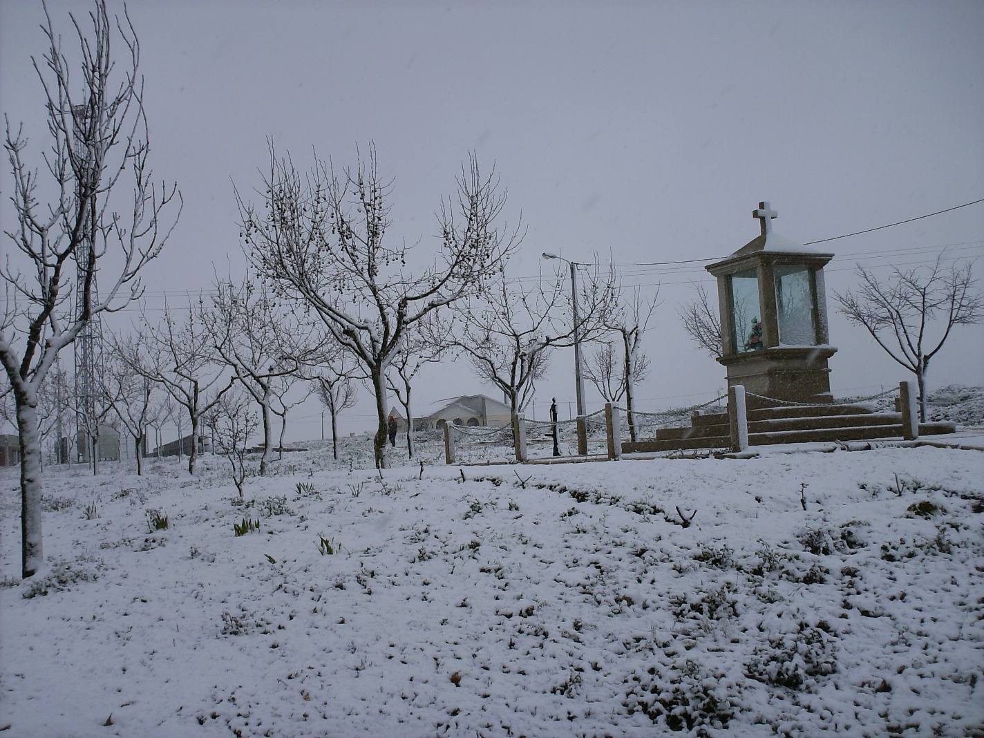 NEVE - SENDIM NEVE COBRIU A VILA E OS CAMPOS Os sendineses assistiram ontem a uma nevada como já há muito…