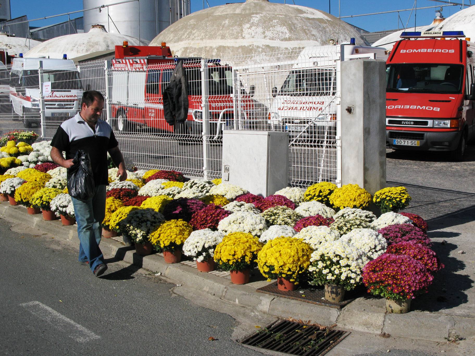 COOPERATIVA AJUDA AGRICULTORES COPRATIBA AJUDA AGRICULTORES Quando se pensa an arranjar modos de cumbatir la…