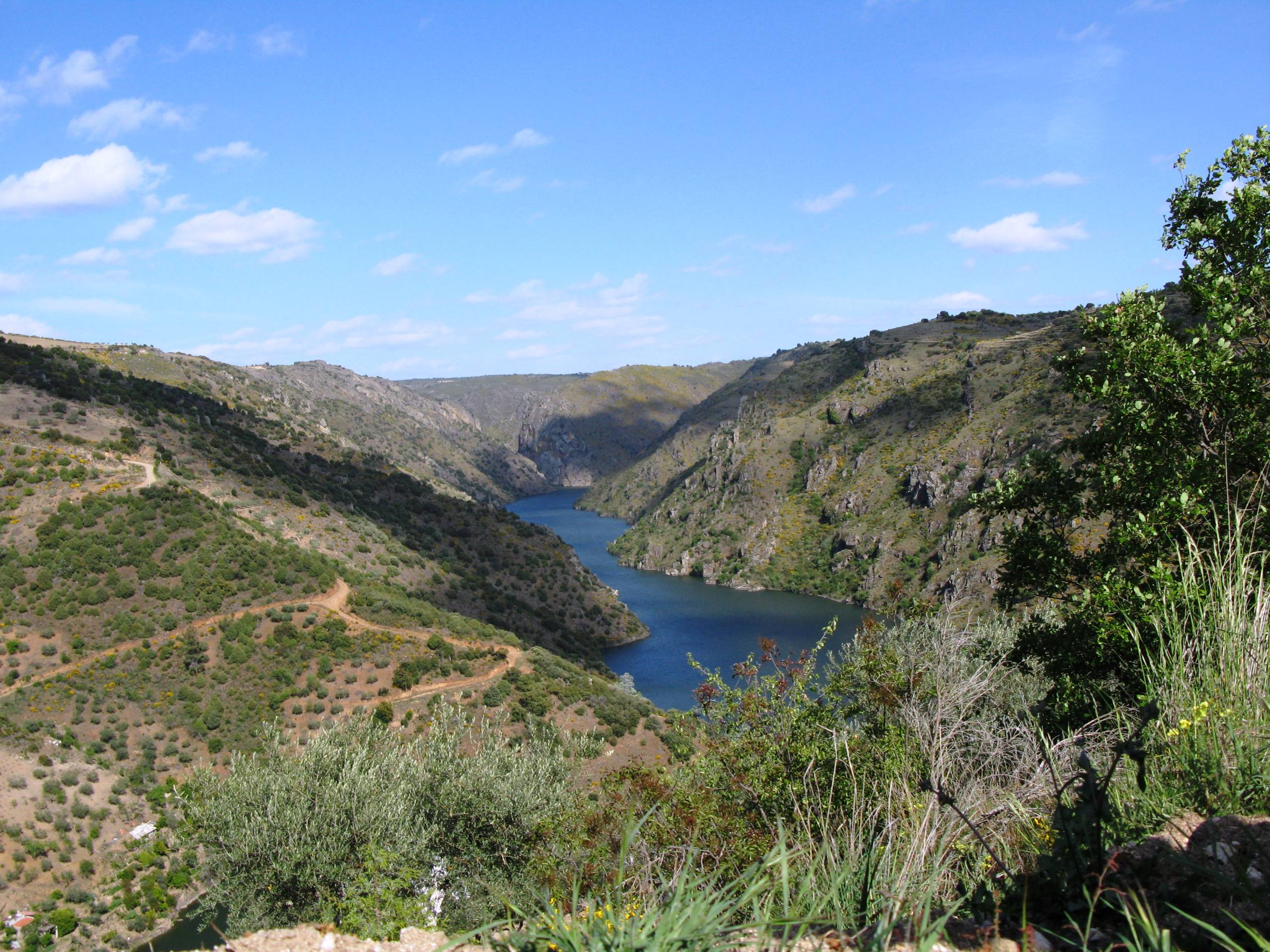 A BIODIVERSIDADE LA BIODEBERSIDADE La biodibersidade ye ua necidade, nó un luxo. Ne ls últimos anhos, l…