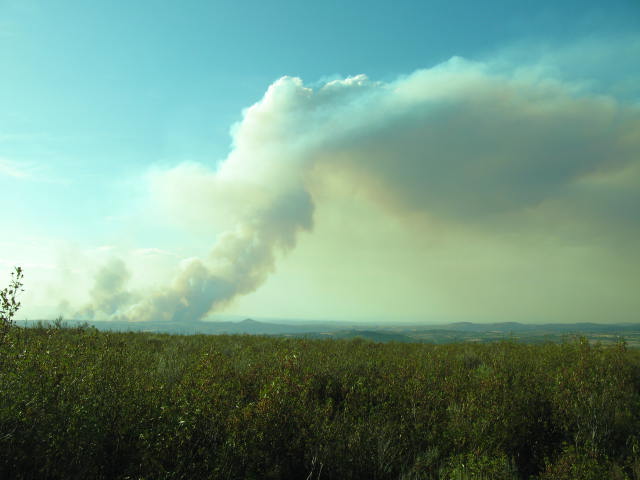 PLANALTO MIRANDÊS INCÊNDIO DE GRANDES PROPORÇÕES Só foi dominado ao início da manhã O incêndio que lavrou, em…