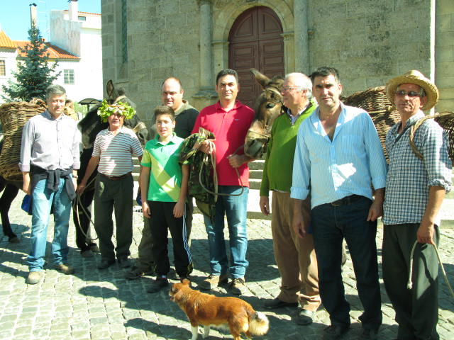 SENDIM VINDIMA TRADICIONAL