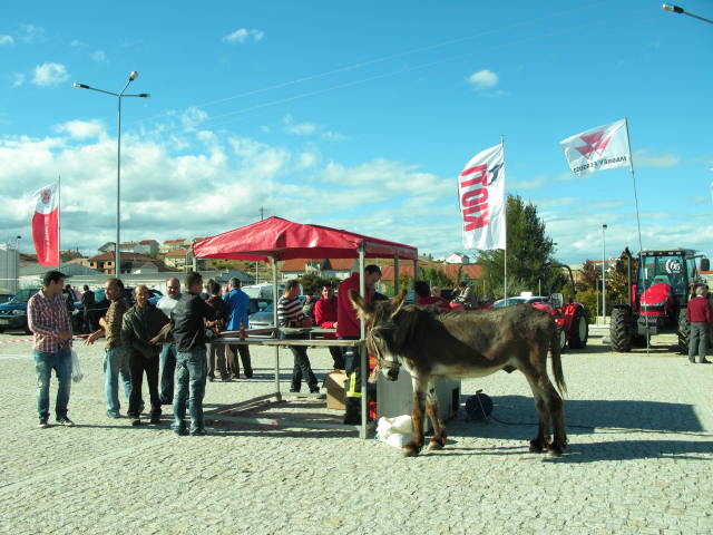 SENDIM GRAZES Ó GORAZES? Nin ua cousa nin outra. La feira de Sendin siempre fui la feira de ls burros! Hoije…
