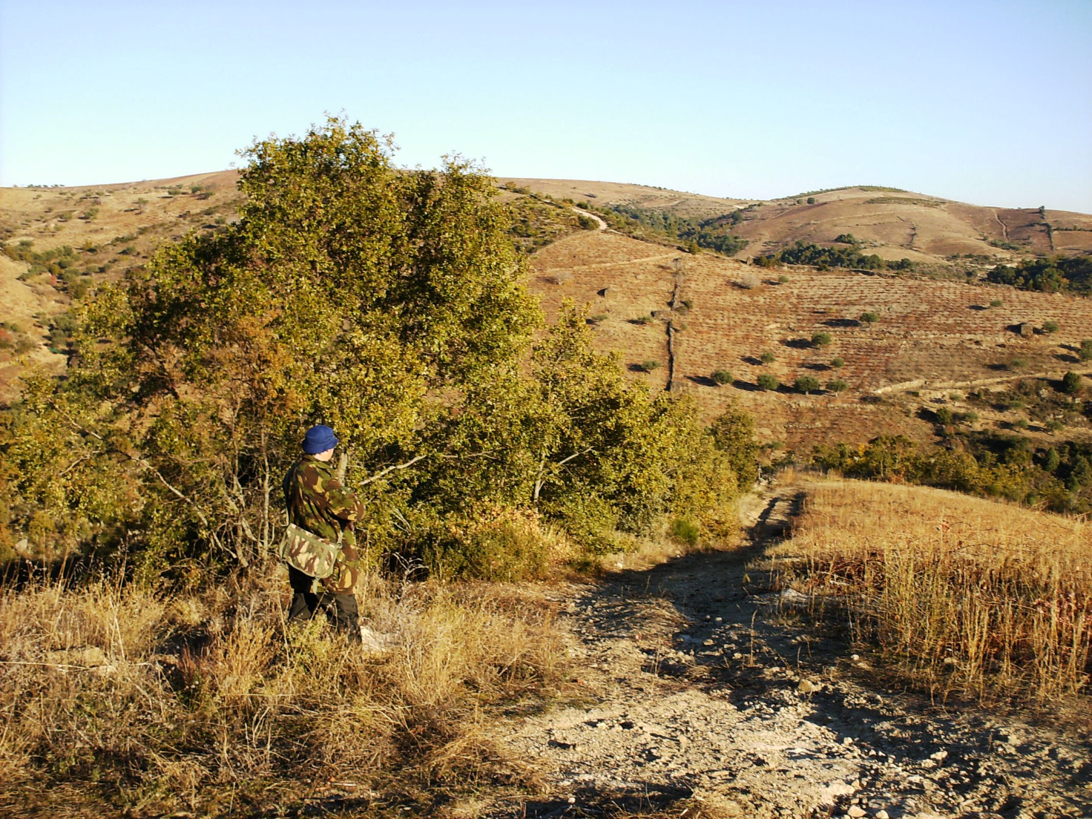 MONTARIA AO JAVALI MONTARIE AL COCHINO DE L MONTE Hoije fizo-se an Sendin ua montarie, nas arribas, cumo ben…