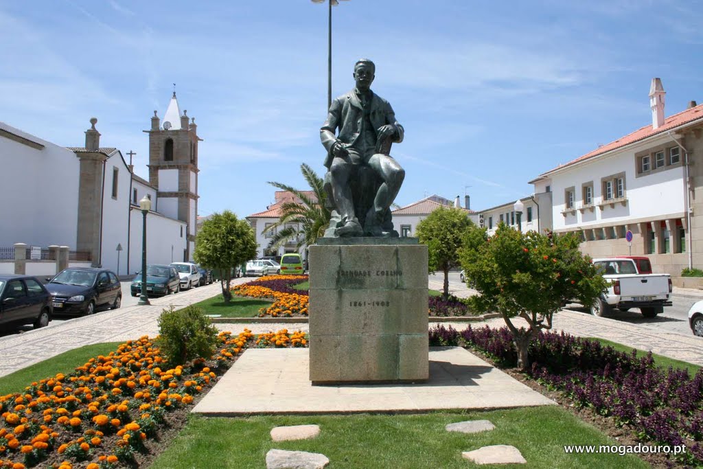 MOGADOURO Assembleia Municipal de Mogadouro aprova redução de freguesias A Assembleia Municipal de Mogadouro…
