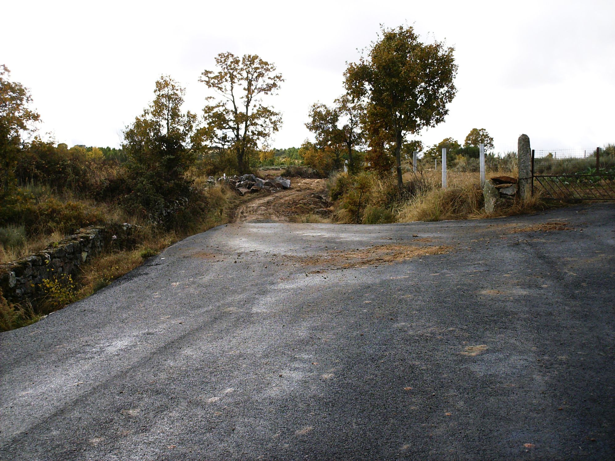 O CAMINHO DO PIO L CAMINO DE L PILO Todos ls dies hai cousas nuobas i amportantes an Sendin. Quando todo…
