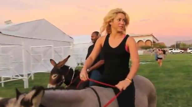 ATENOR SHAKIRA PODERÁ VIR A ATENOR Depois de uma experiência numa corrida de burros, pensa-se que Shakira…