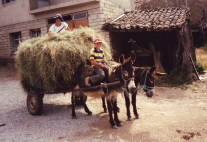 A CRISE LA CRISE Purmanhana chobie que Dius la daba i quando assi acuntece nun hai muito por onde mirar, que…