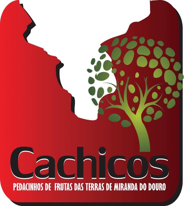 SENDIM EMPREENDEDORES TRANSMONTANOS DISTINGUIDOS COM PRÉMIO EDP 2012 Onze empresários transmontanos foram…