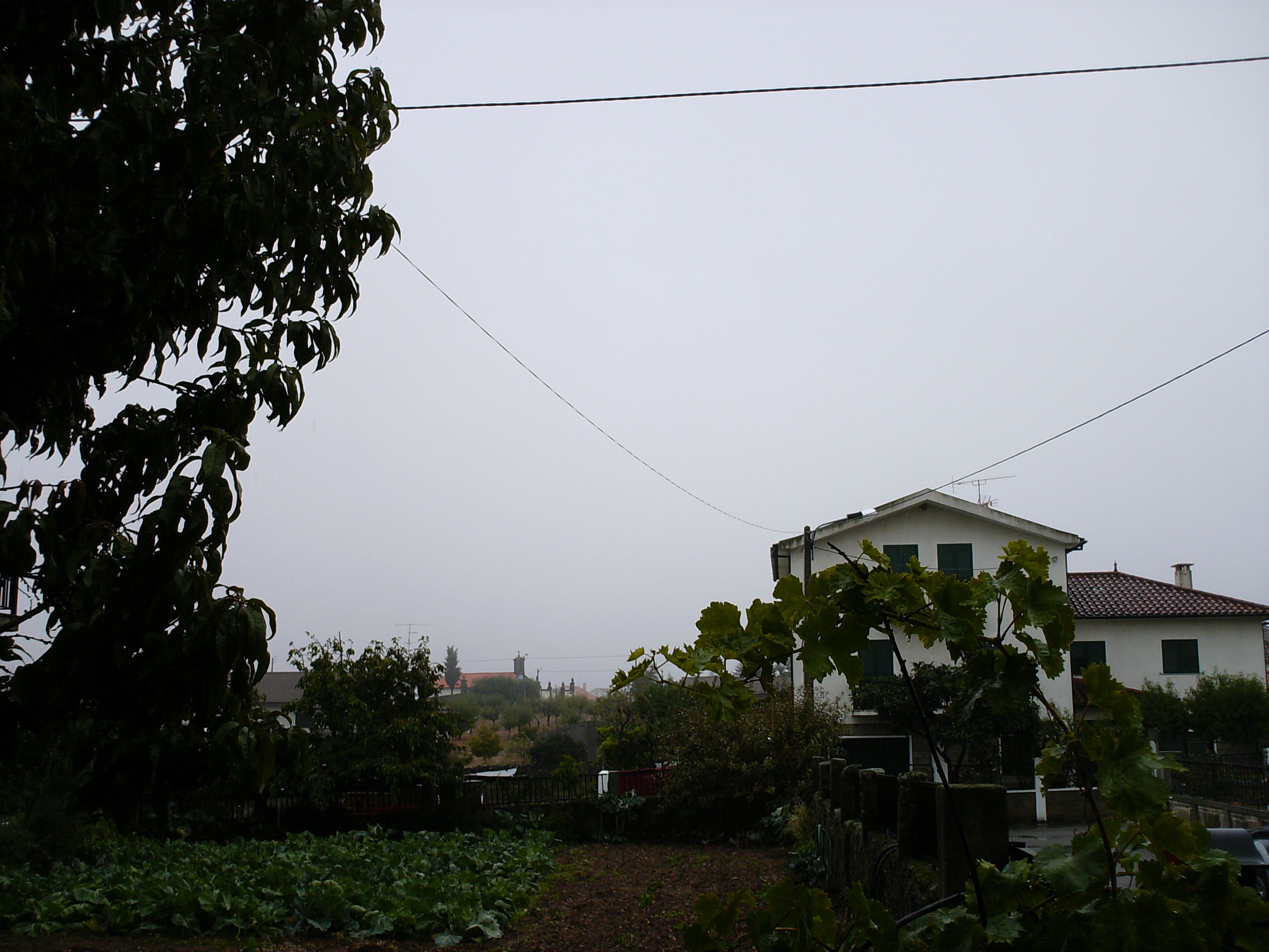 SENDIM CHEGOU A CHUVA La tierra yá iba toda gretada i chena d’angurrias, la sequidade fazie-le l que la…