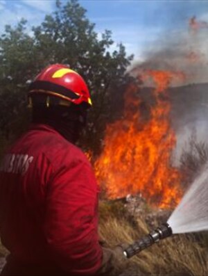 MIRANDA DO DOURO Bombeiros combatem fogo em Miranda do Douro Segundo o site da ANPC (Autoridade Nacional da…