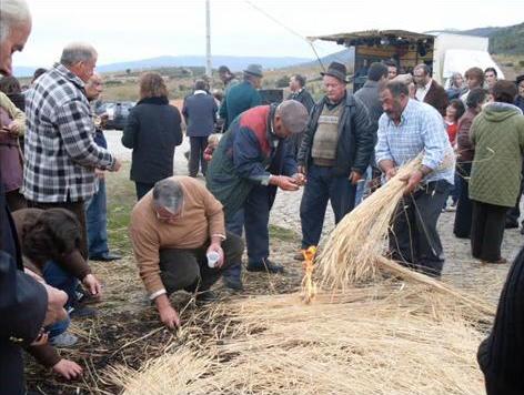 MAÇORES - MONCORVO MAGUSTO EM MAÇORES - MONCORVO Depois da eucaristia e da procissão, da festa de S…