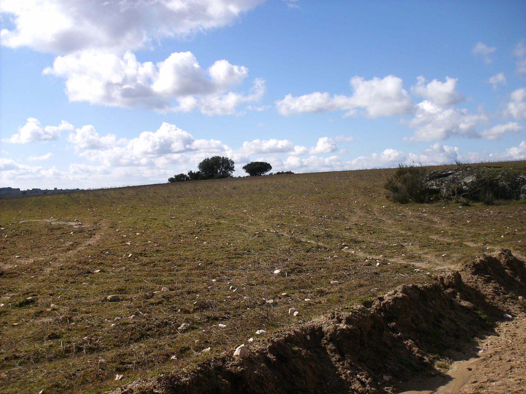 O MATADOURO DO PLANALTO L MATADOURO DE L PRAINO Nada stá defenido quanto a la localizaçon de l matadouro de l…
