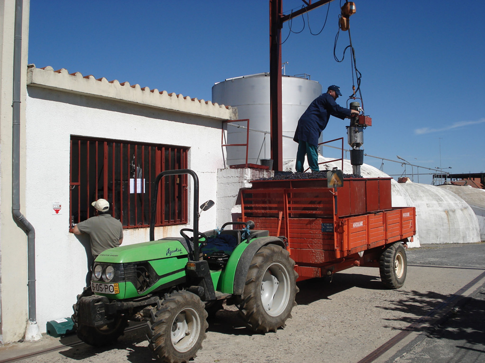 COMEÇOU A CAMPANHA DAS UVAS AMPEÇOU LA RECUOLHA DE LAS UBAS La Dega ampeçou hoije a recebir las ubas. La…