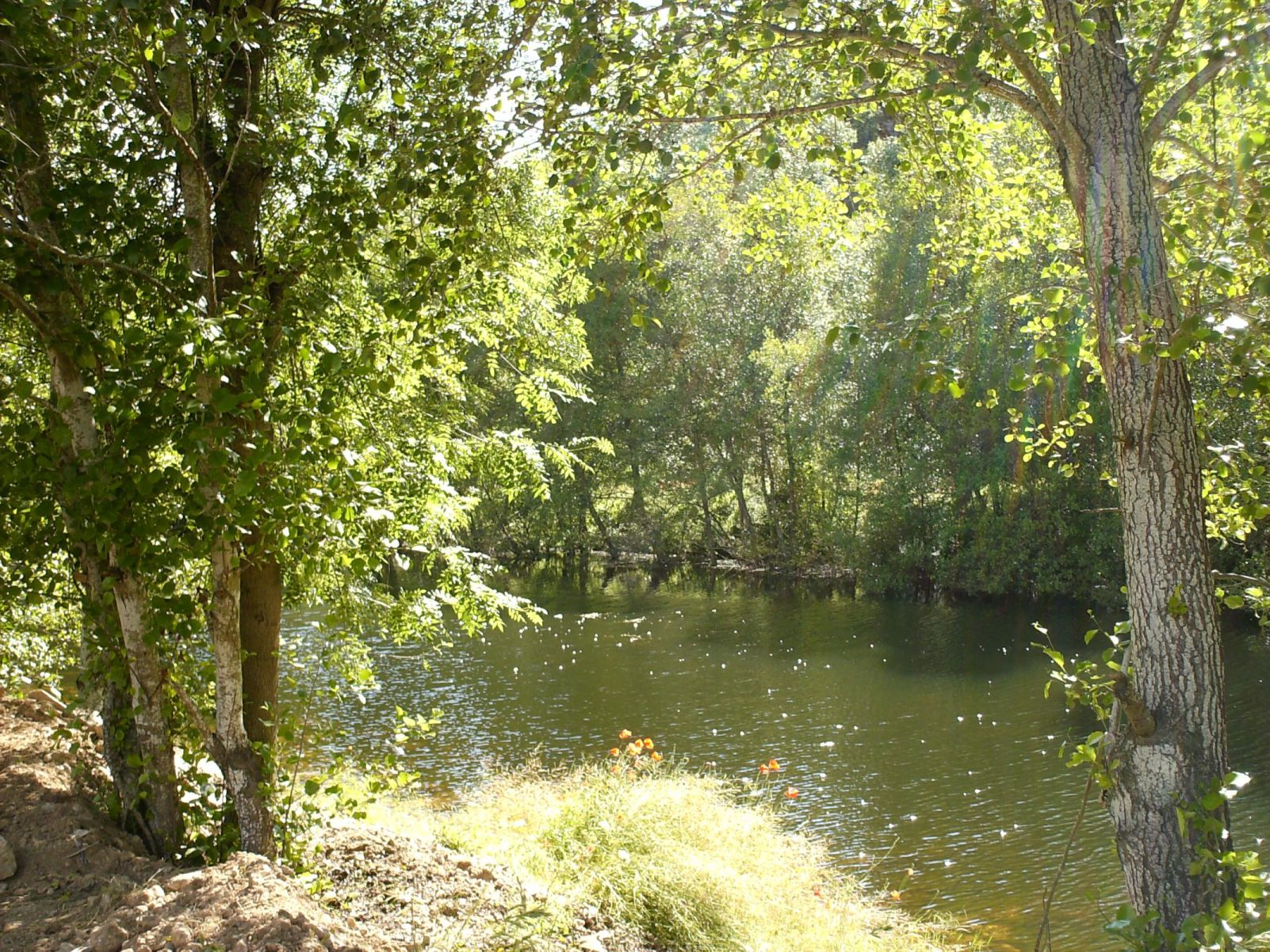 SENDIM E ARREDORES PRIMAVERA VAI E VOLTA MOCIDADE NÃO VOLTA MAIS VEDE BEM À VOSSA VOLTA QUE A VIDA É BELA DE…