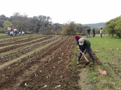 MIRANDA DO DOURO PROJECTO QUERENÇA A Associação dos Agricultores do Planalto Mirandês está a selecionar…