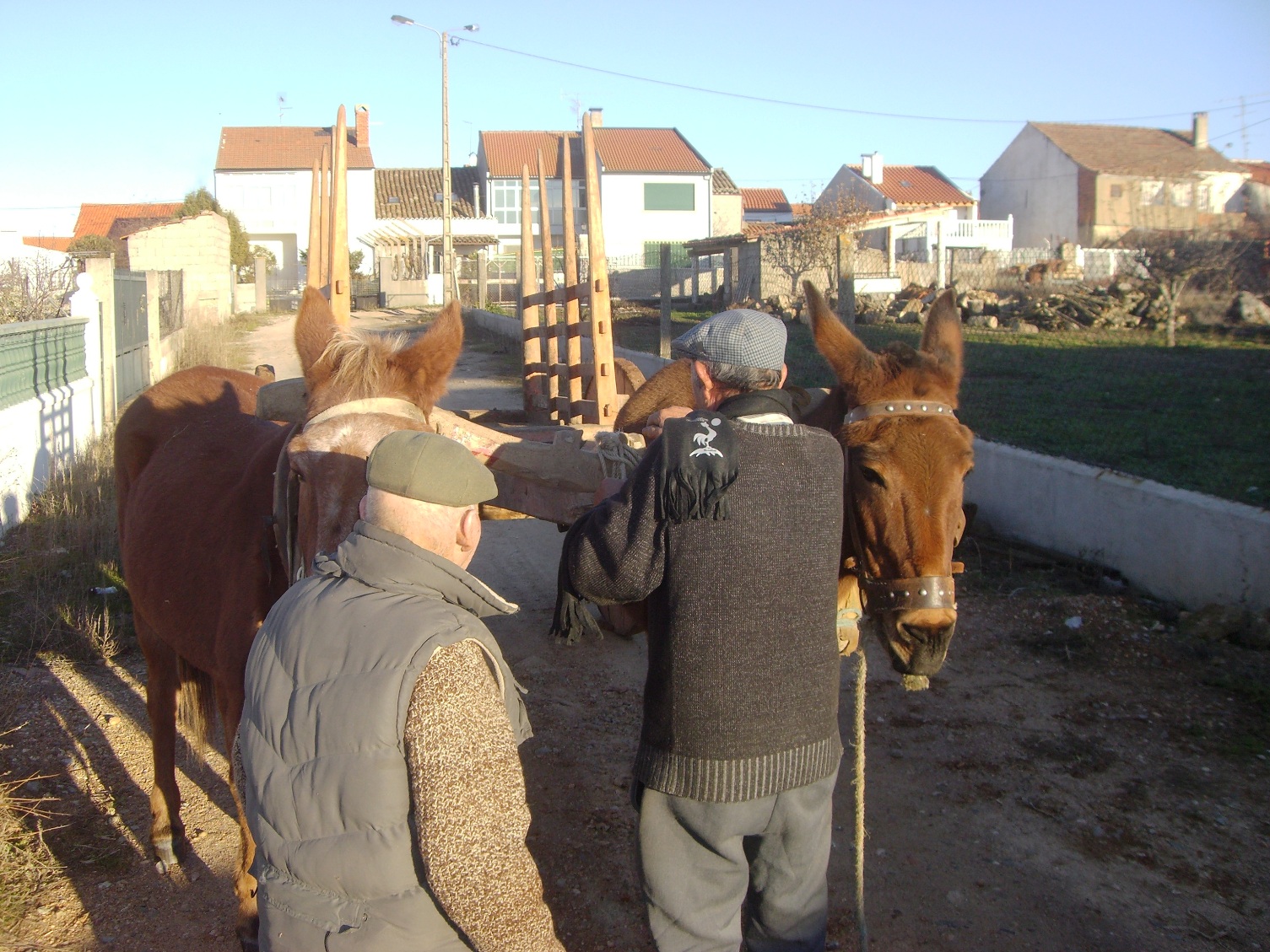 E ESTA, HEIN!... I ESTA, HEIN!... To ls anhos hai ua nuoba por esta altura i ls mardomos de la fogueira…