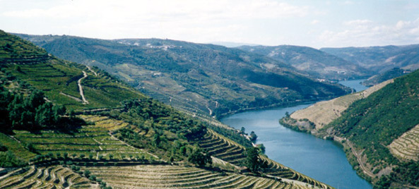 MIRANDA DO DOURO Porto e Norte promove visita ao Vale do Douro Superior e Leste Transmontano A Turismo do…
