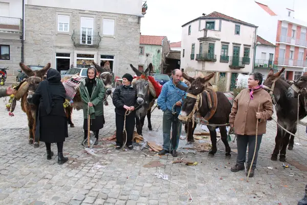 Burros carregados na praça em dia de feira, com os donos ao lado