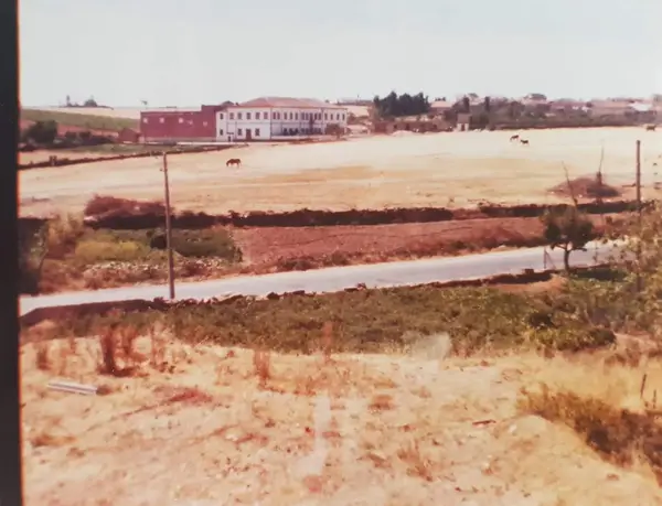 Eiras