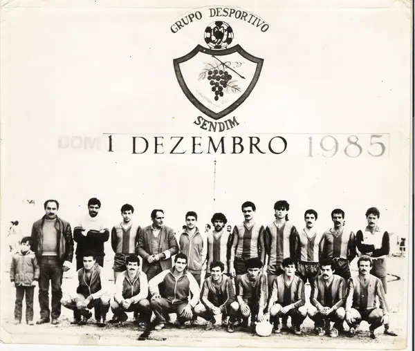 GDSendim_1