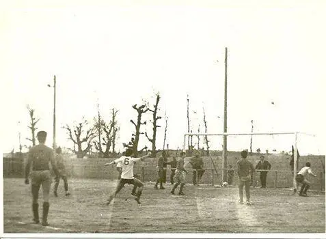 GDSendim_1981_1982