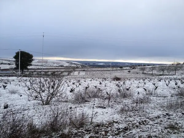 Neve jan 2013