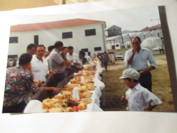 Sendim vila 4