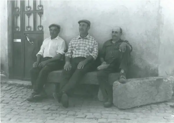 Tius de Sendim