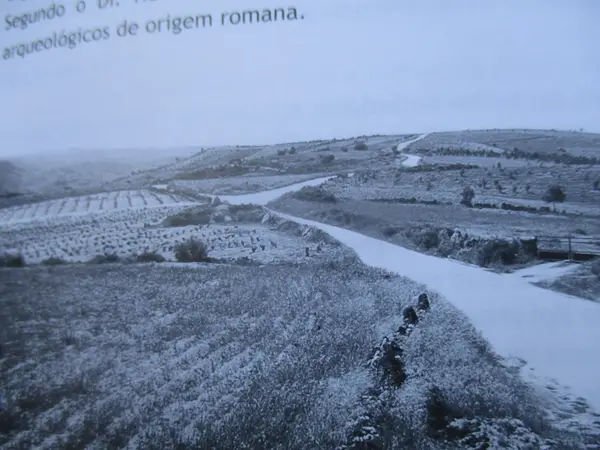 Trampas Carreiras