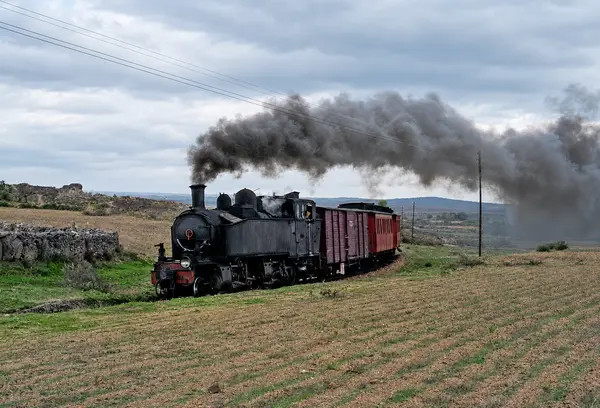 A locomotiva a vapor a atravessar o campo verde