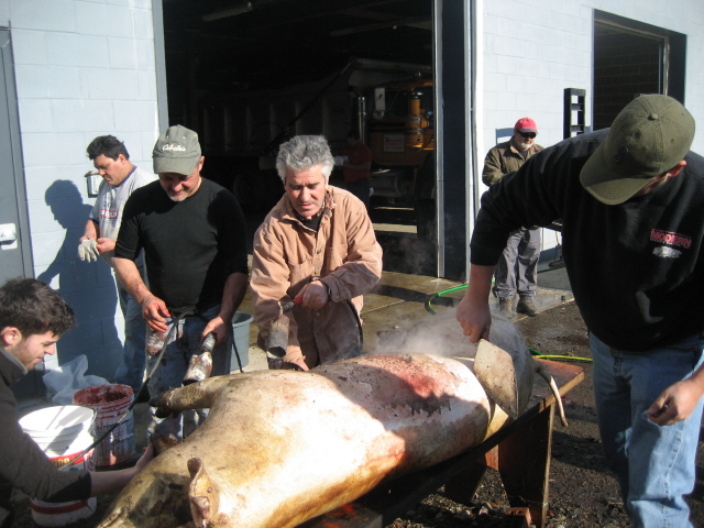 Matança USA 2010