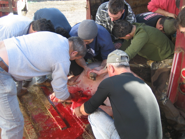 Matança USA 2010