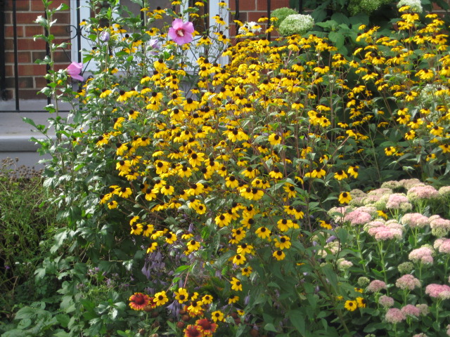 no meu jardim