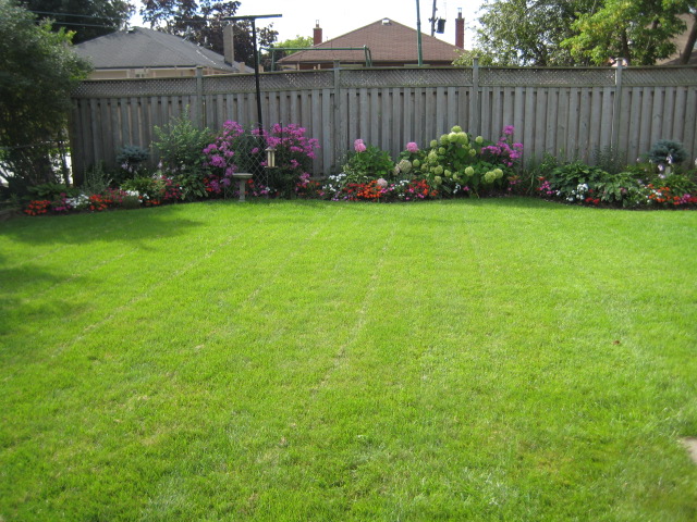 Relva e jardim com flores fica bonito