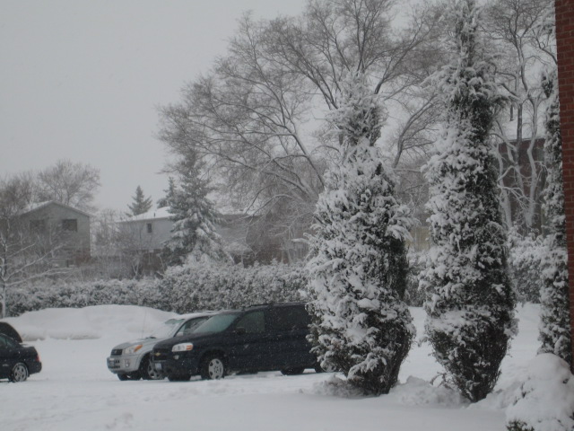o dia de Ano Novo nevando aqui em toronto no Canada